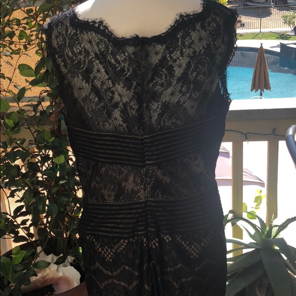 Tadashi Shoji Black Laced Tan lining Formal Dress - Picture 3 of 7